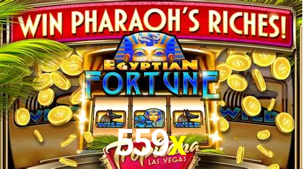 Flash Promotion 559x